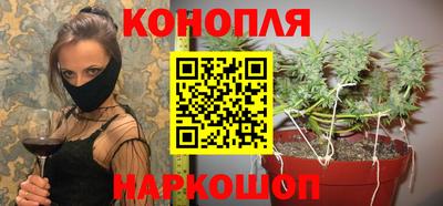 mdpv Краснознаменск