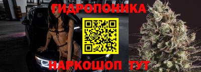 mdpv Краснознаменск