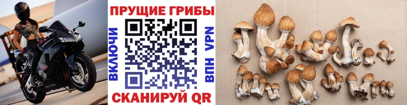 Псилоцибиновые грибы ЛСД  закладки  Гусев 