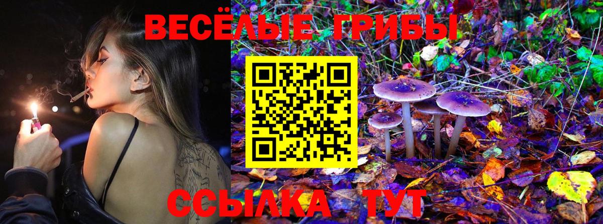 Галлюциногенные грибы GOLDEN TEACHER  Галлюциногенные грибы MAGIC MUSHROOMS  Гусев  Вход с VPN 